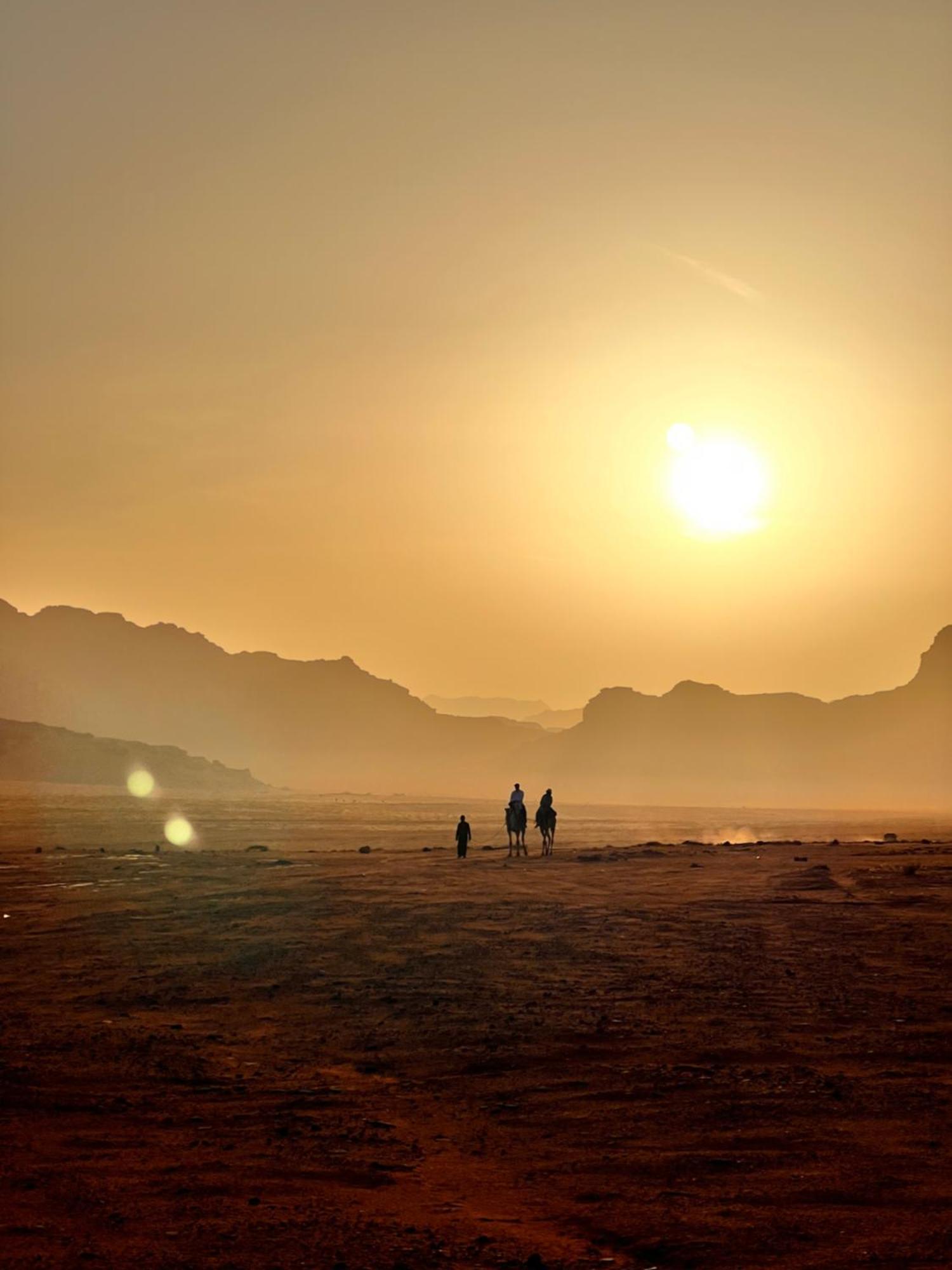 Desert Bird Camp Wadi Rum Exterior foto