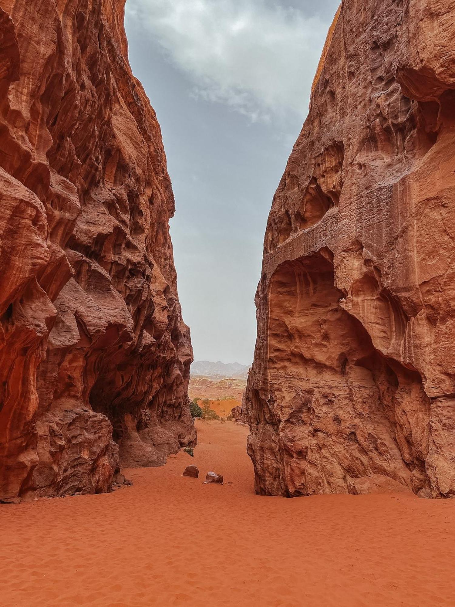 Desert Bird Camp Wadi Rum Exterior foto