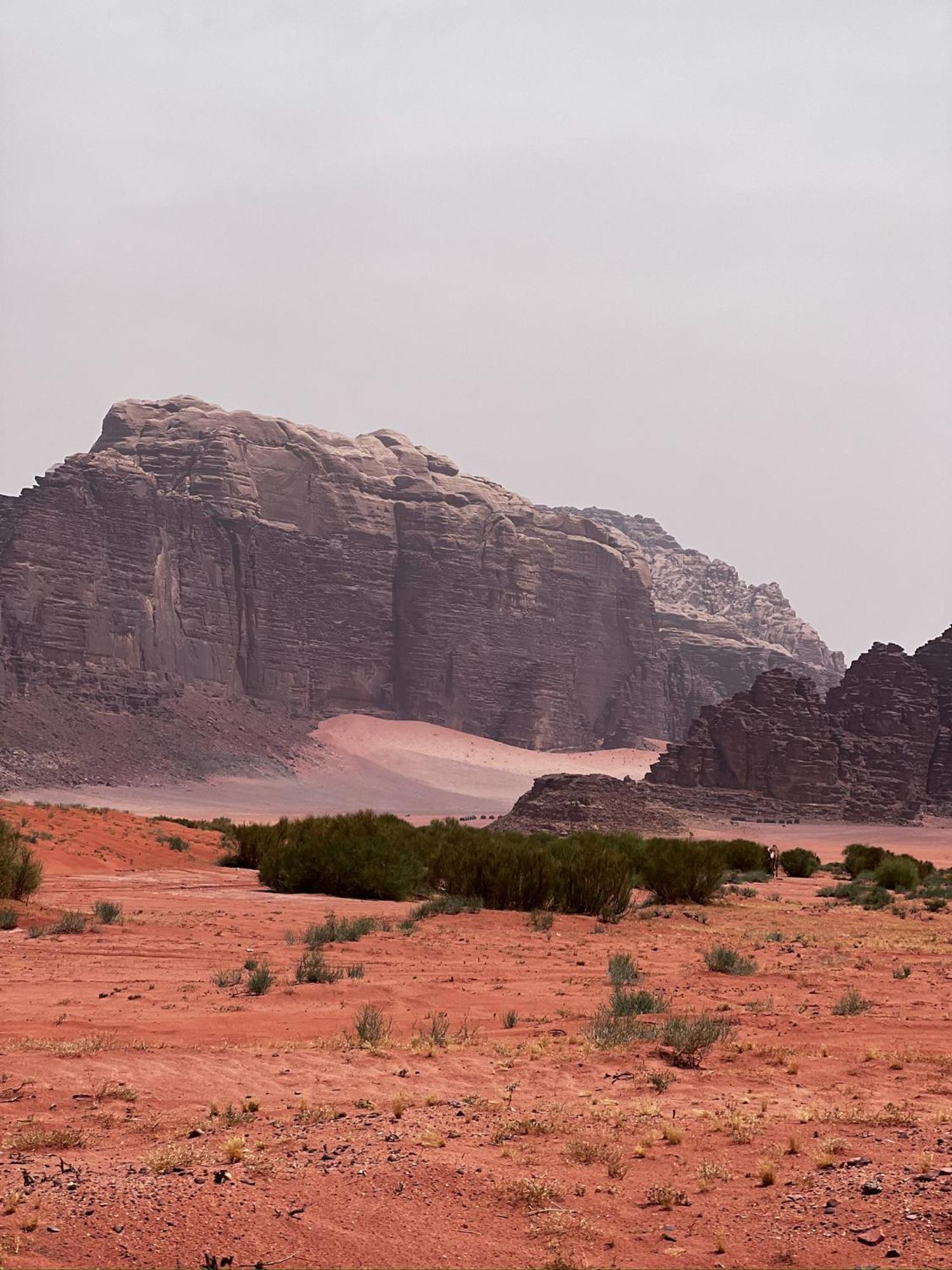 Desert Bird Camp Wadi Rum Exterior foto